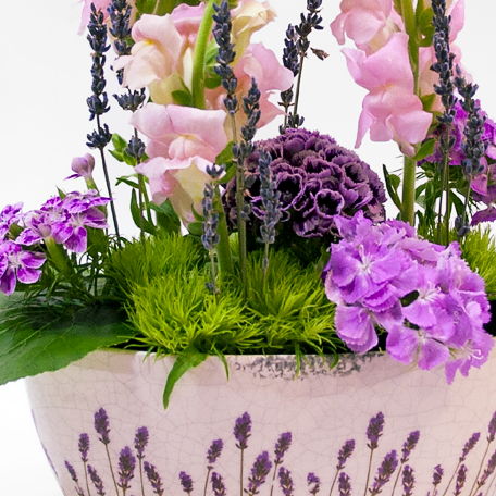 Produto: Taça de Alfazemas